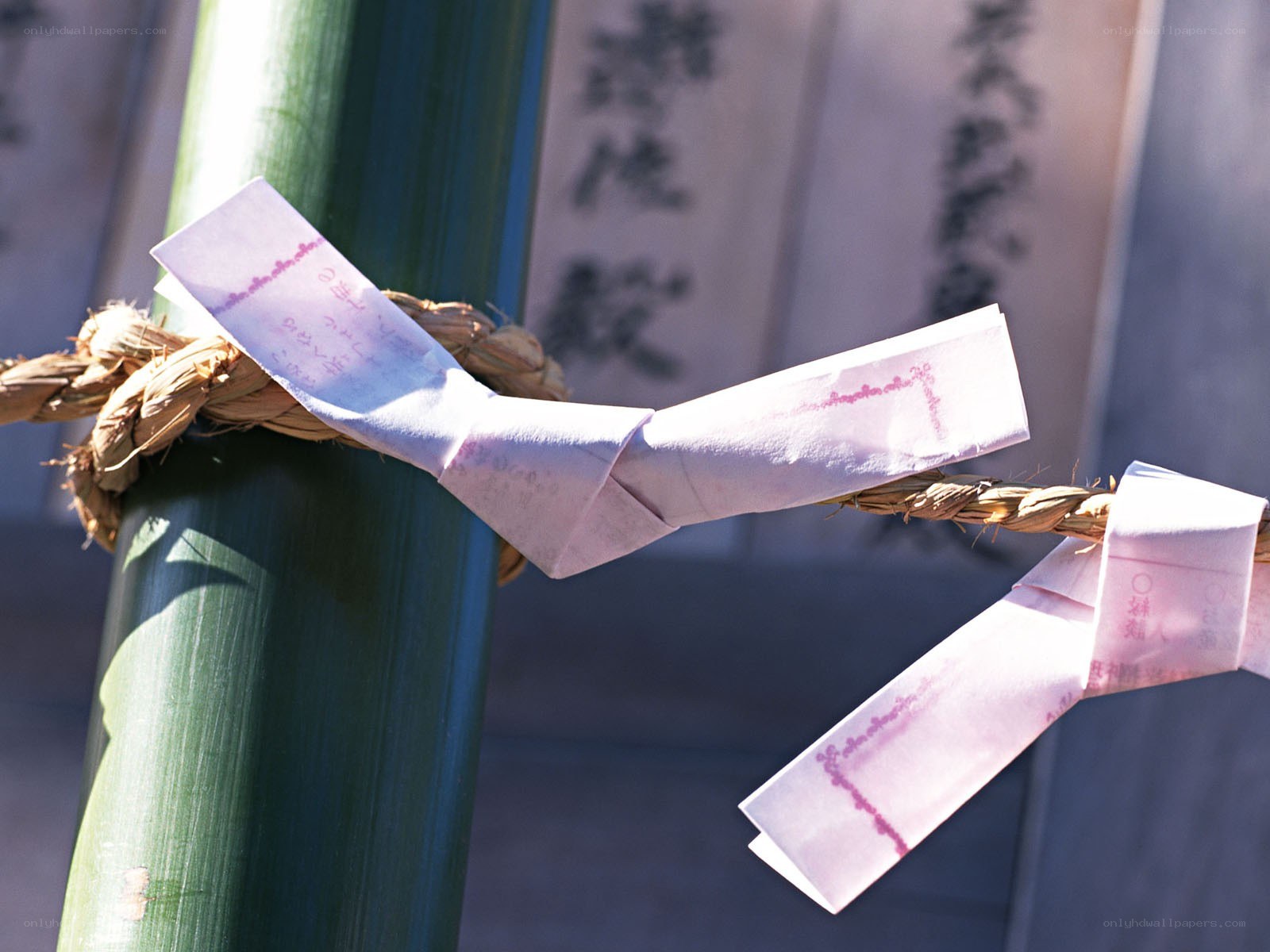 Prayer papers at a shrine