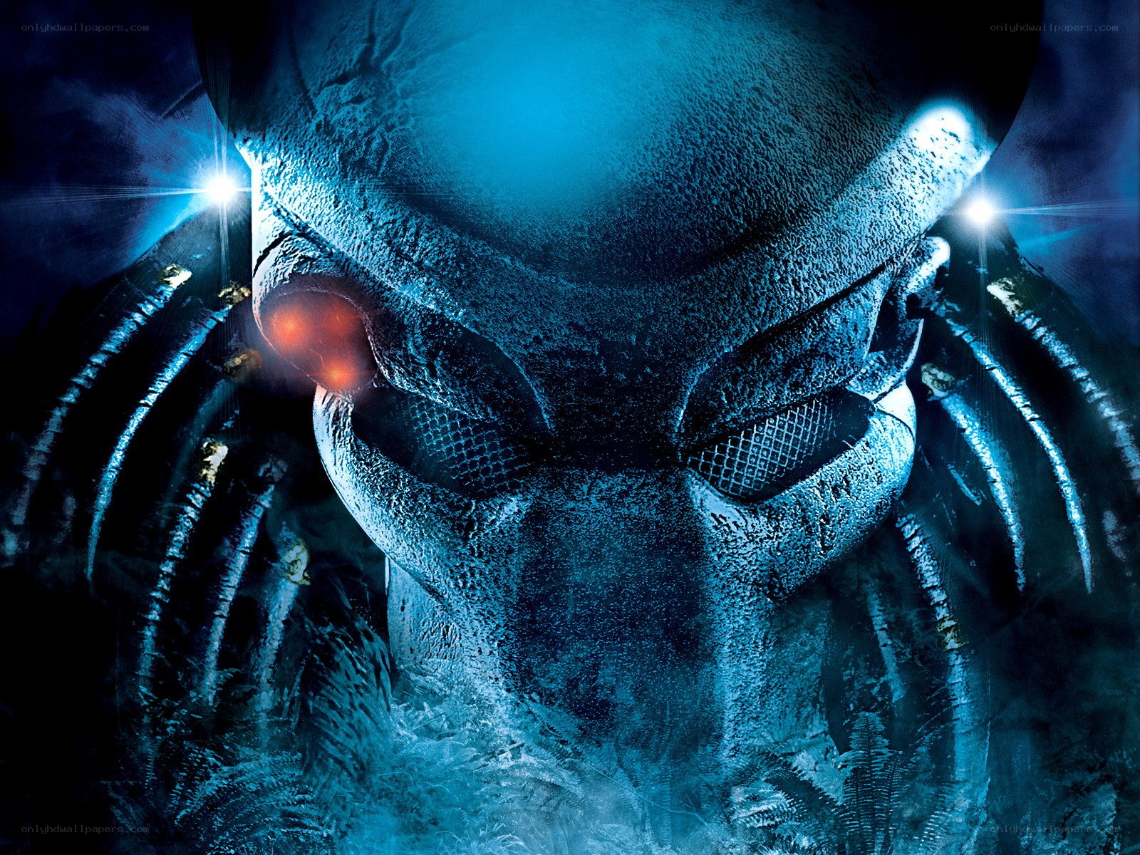 Predator alien close-up