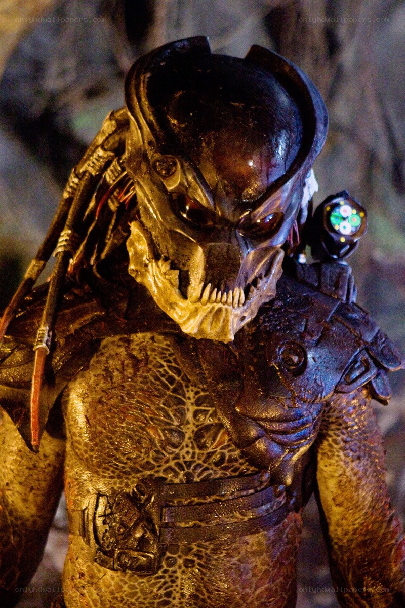 Predator alien close-up