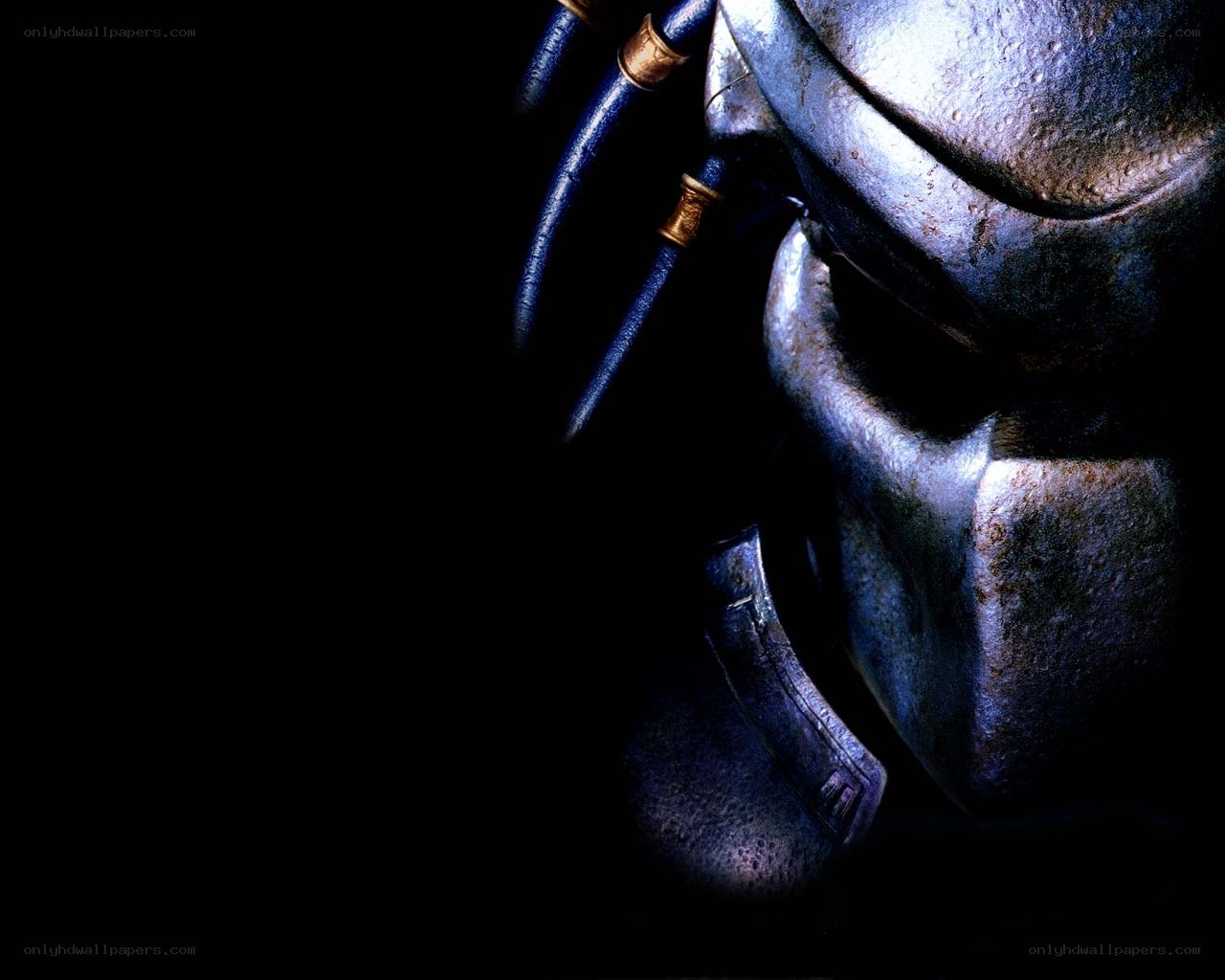 Predator helmet close-up