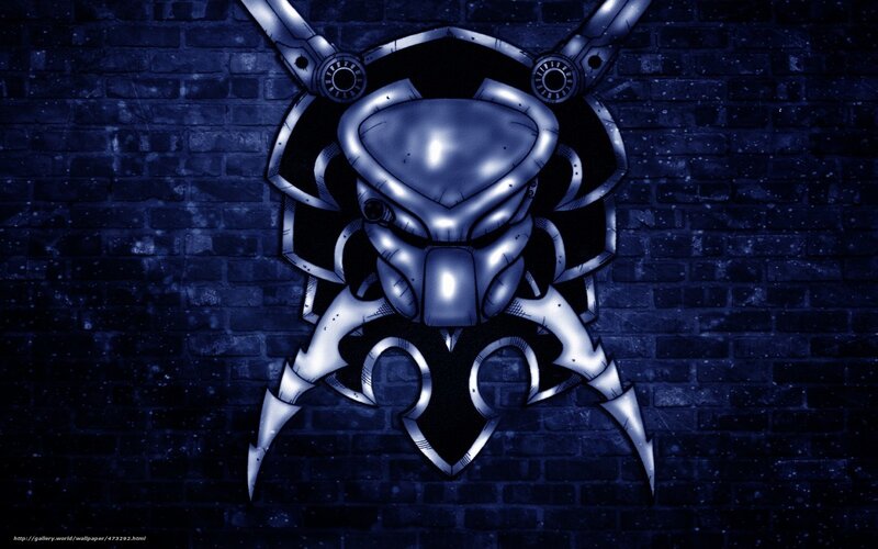 Predator helmet on brick wall