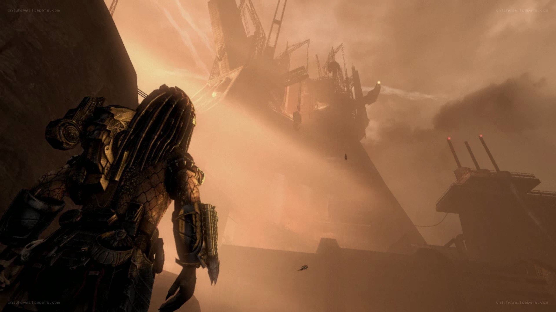 Predator in a dusty wasteland