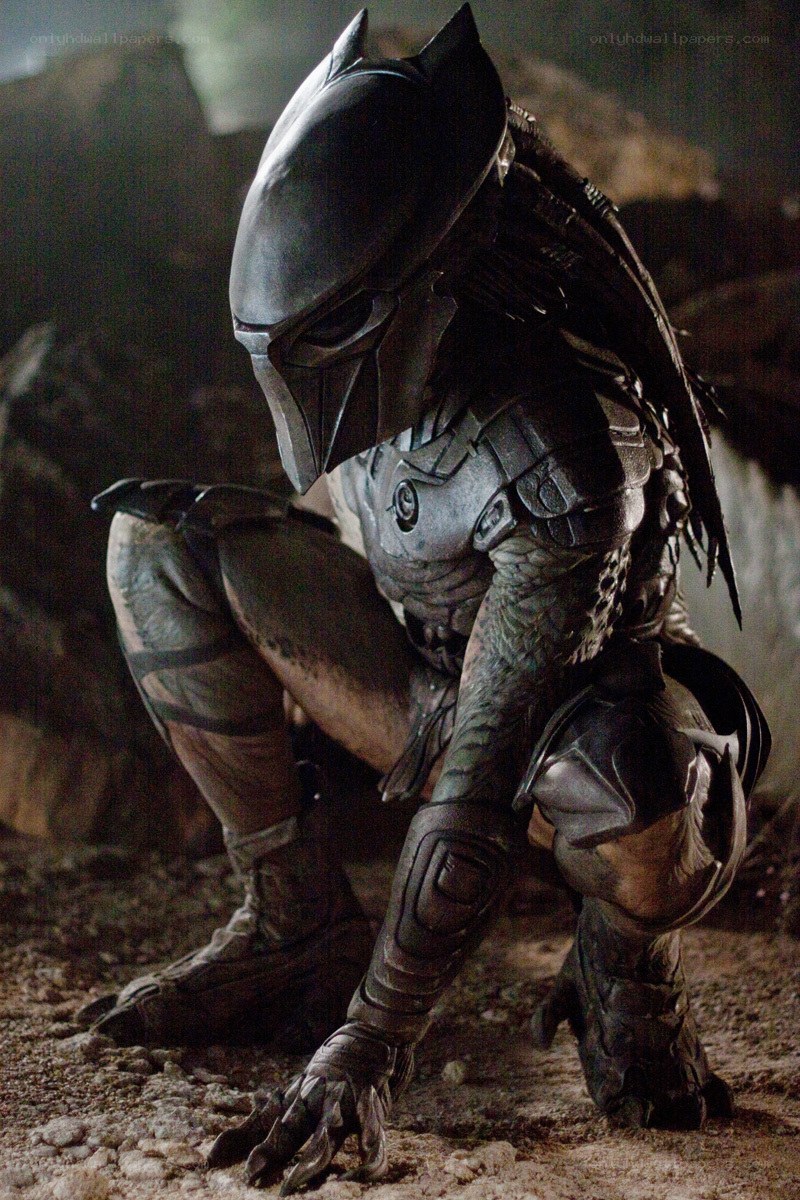 Predator in crouched stance