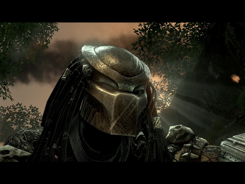 Predator in jungle environment