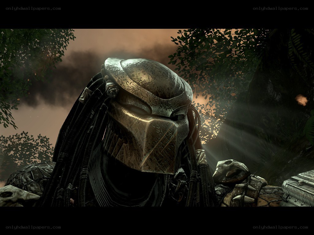 Predator in jungle environment