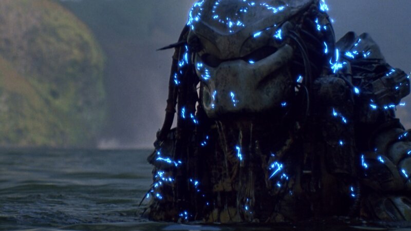 Predator in water
