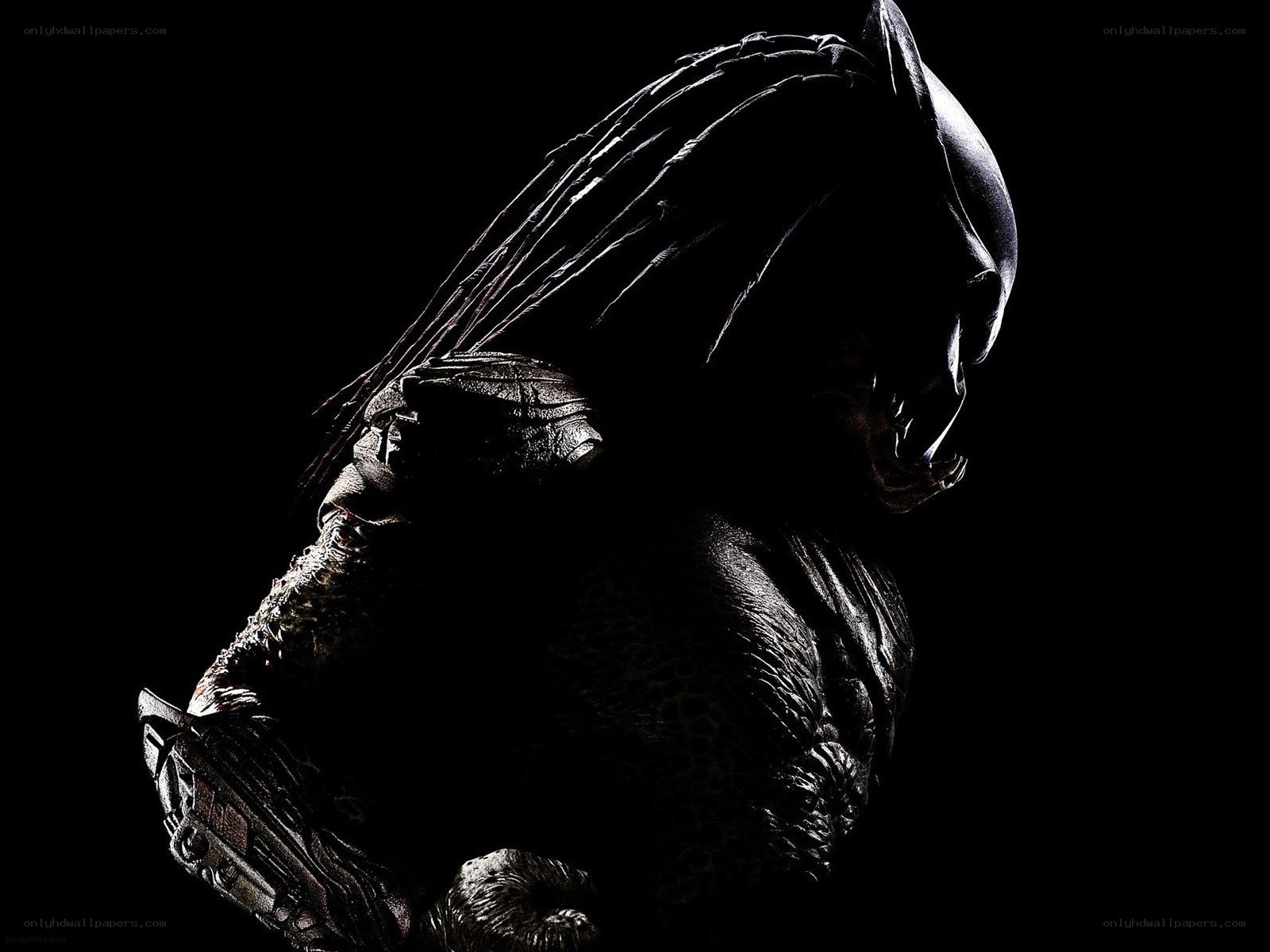 Predator silhouette in darkness