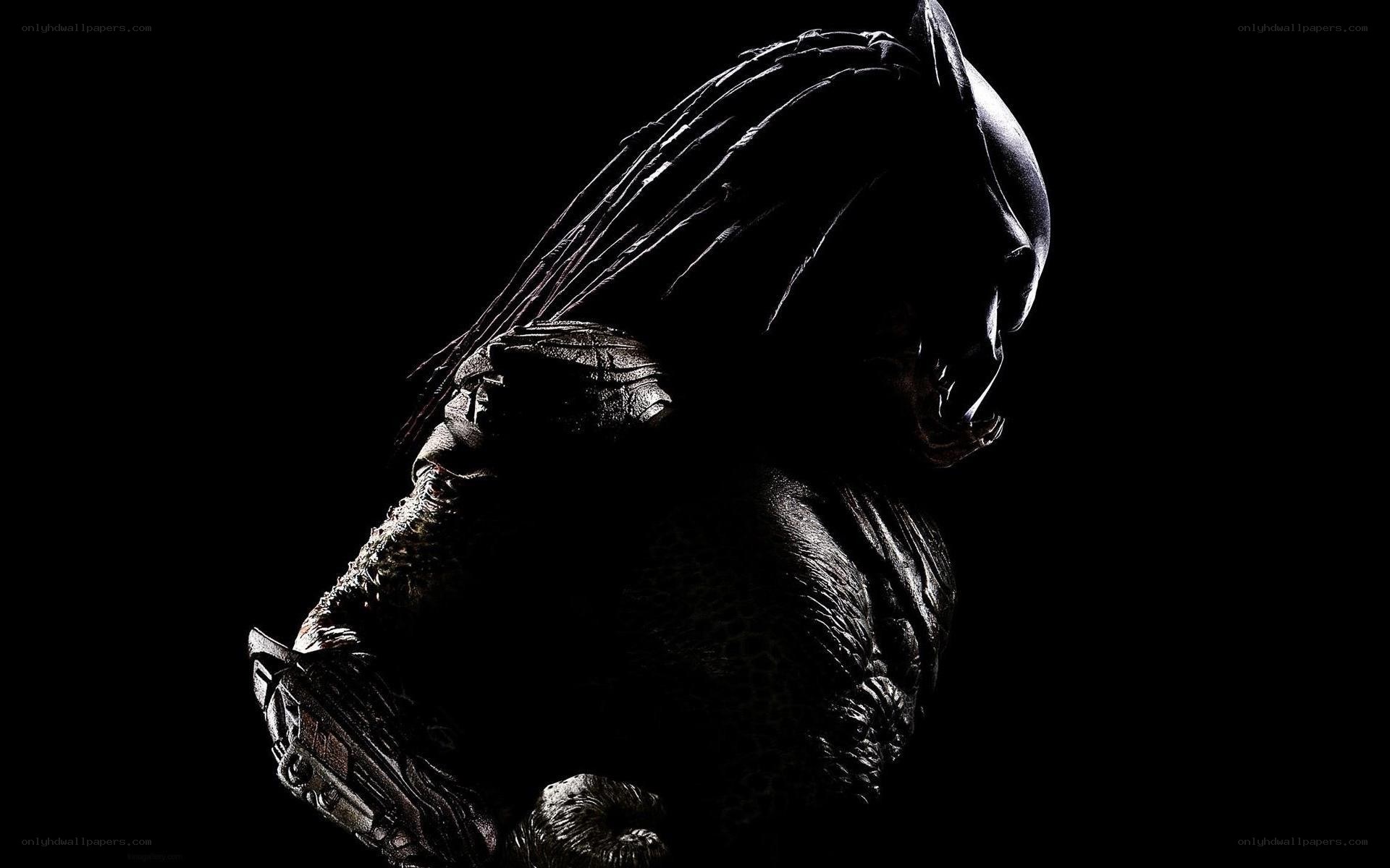 Predator silhouette in darkness