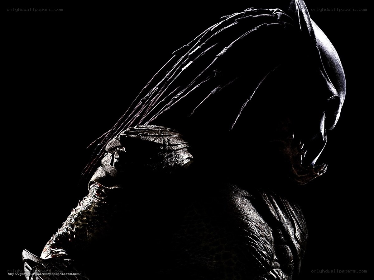 Predator silhouette in darkness