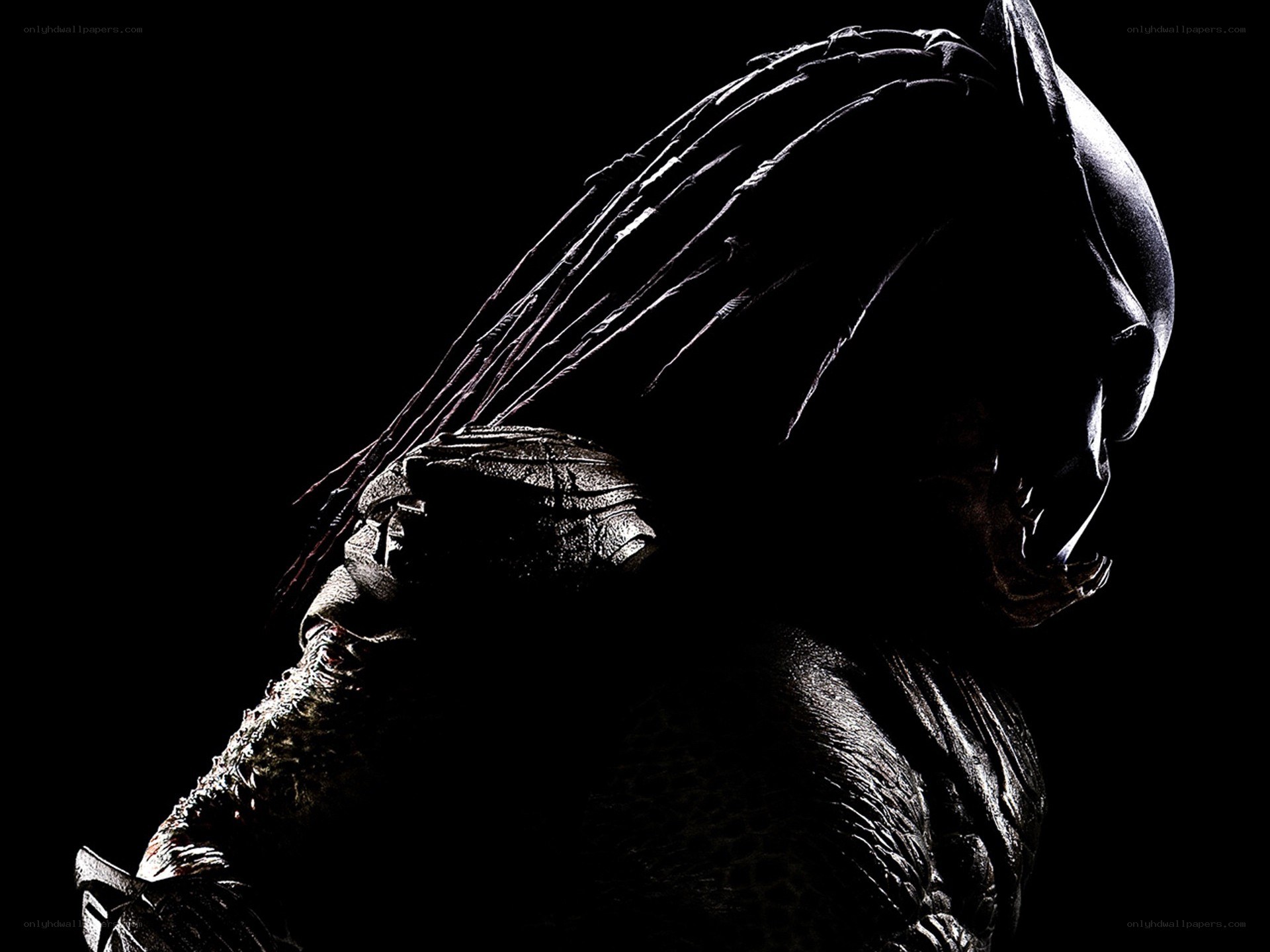 Predator silhouette