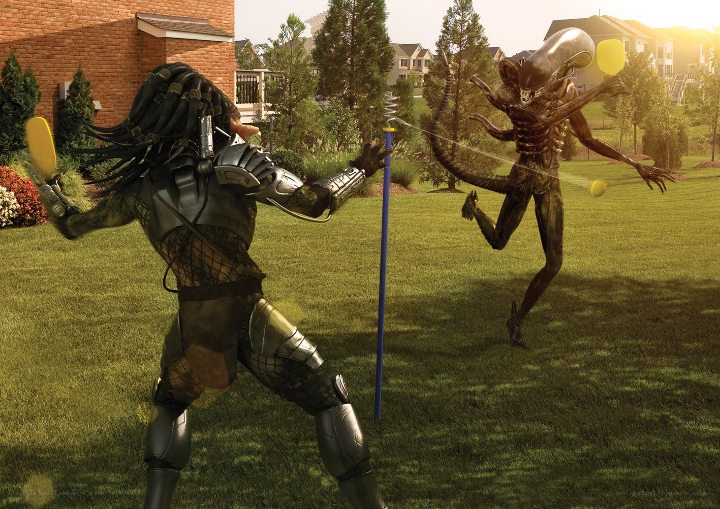 Predator vs Alien in backyard