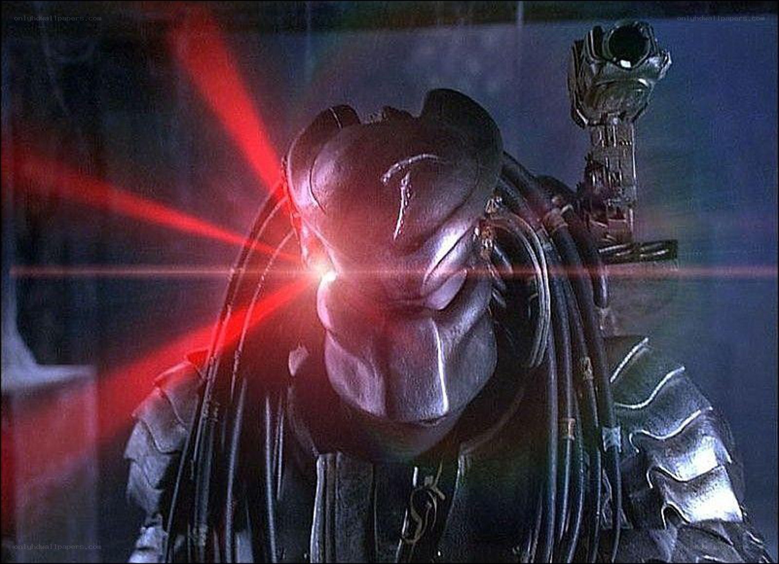 Predator with red laser