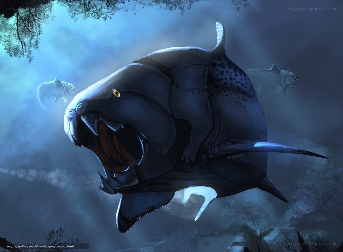 Predatory fish in dark waters