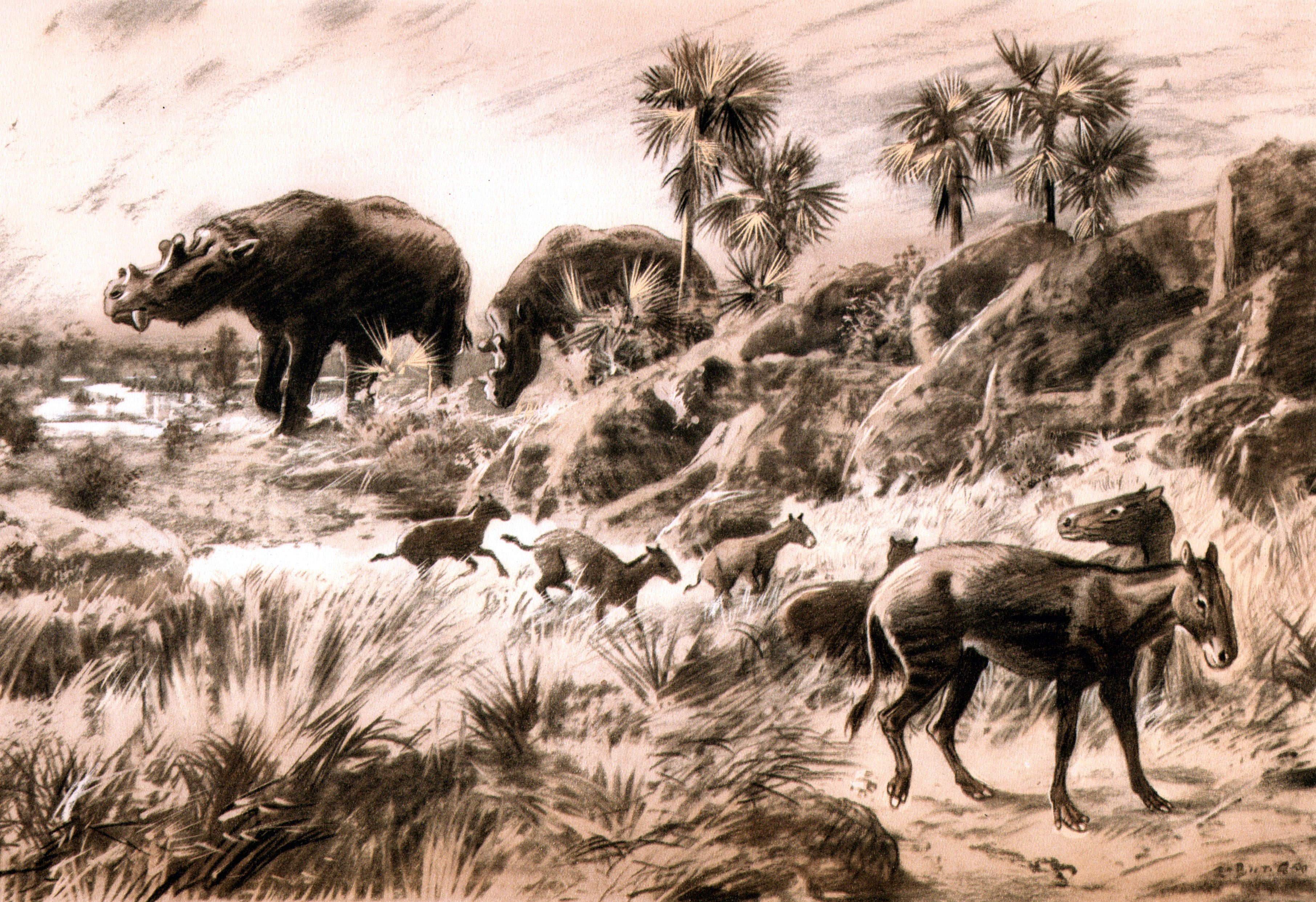 Prehistoric animal scene