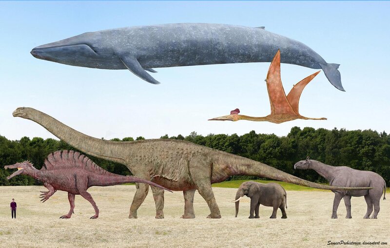 Prehistoric Animals