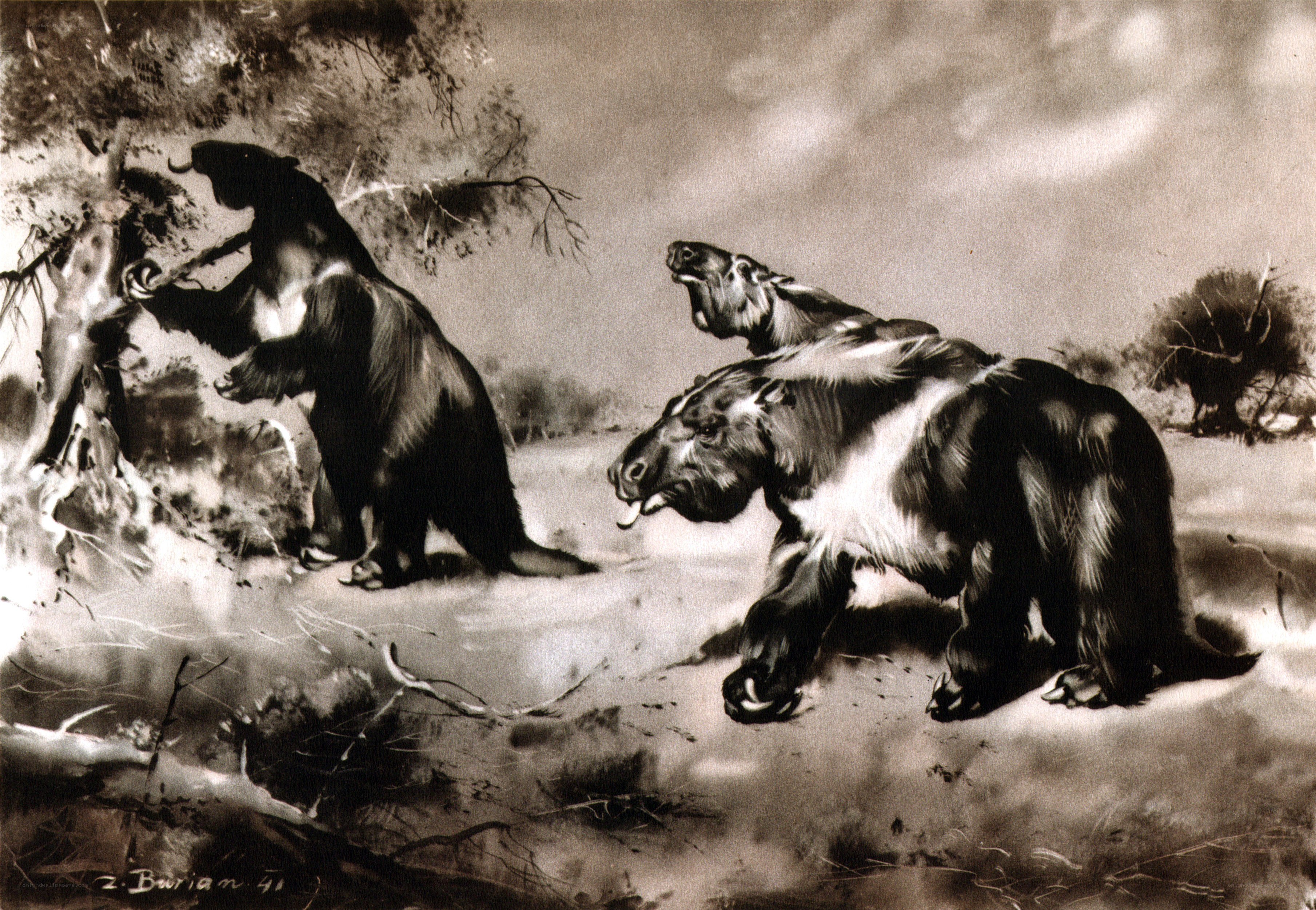 Prehistoric bear encounter