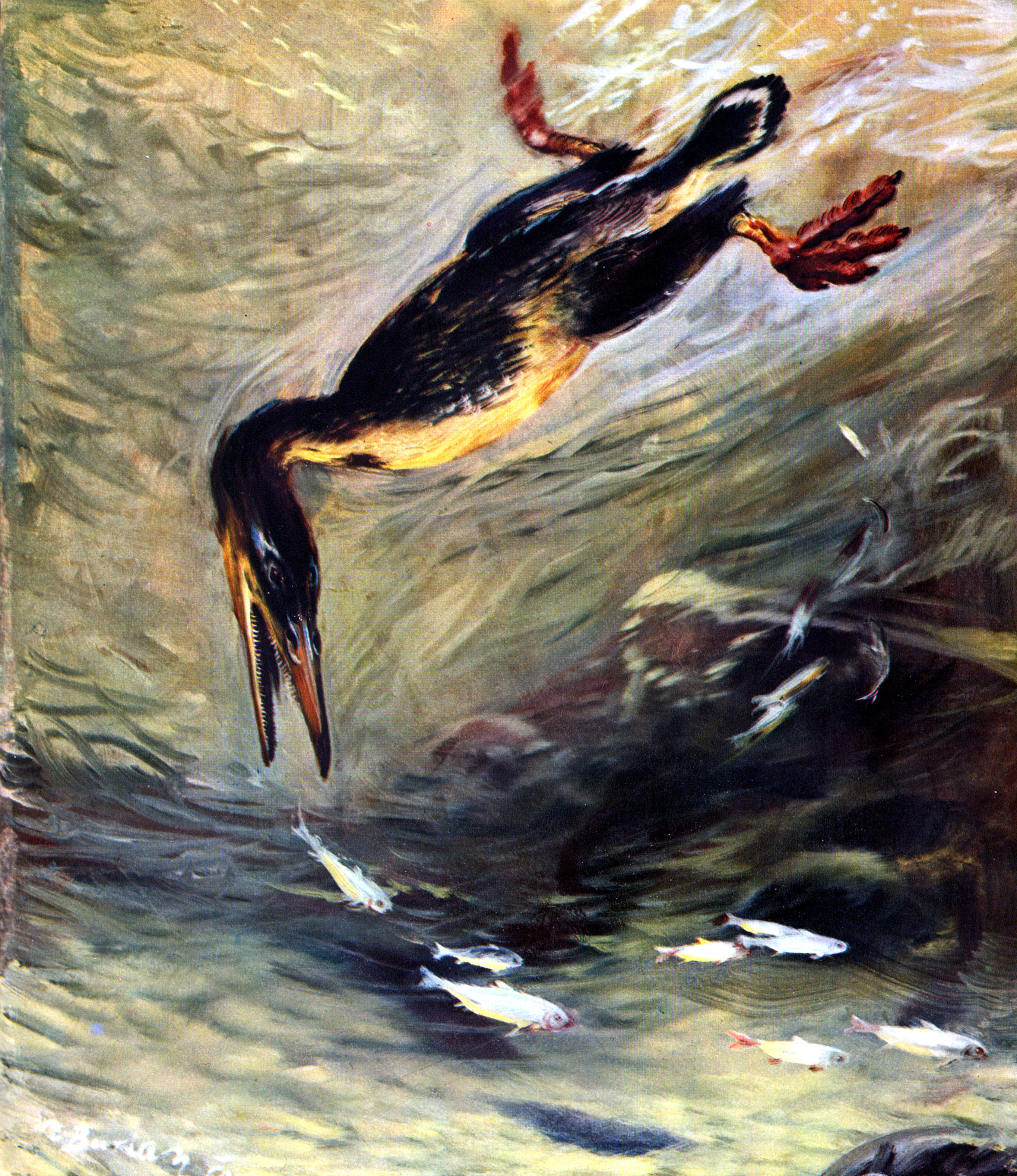 prehistoric bird hunting fish