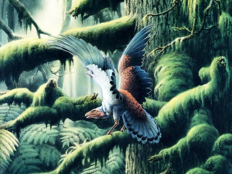 Prehistoric Bird in Forest