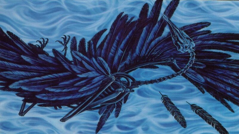 prehistoric bird in water