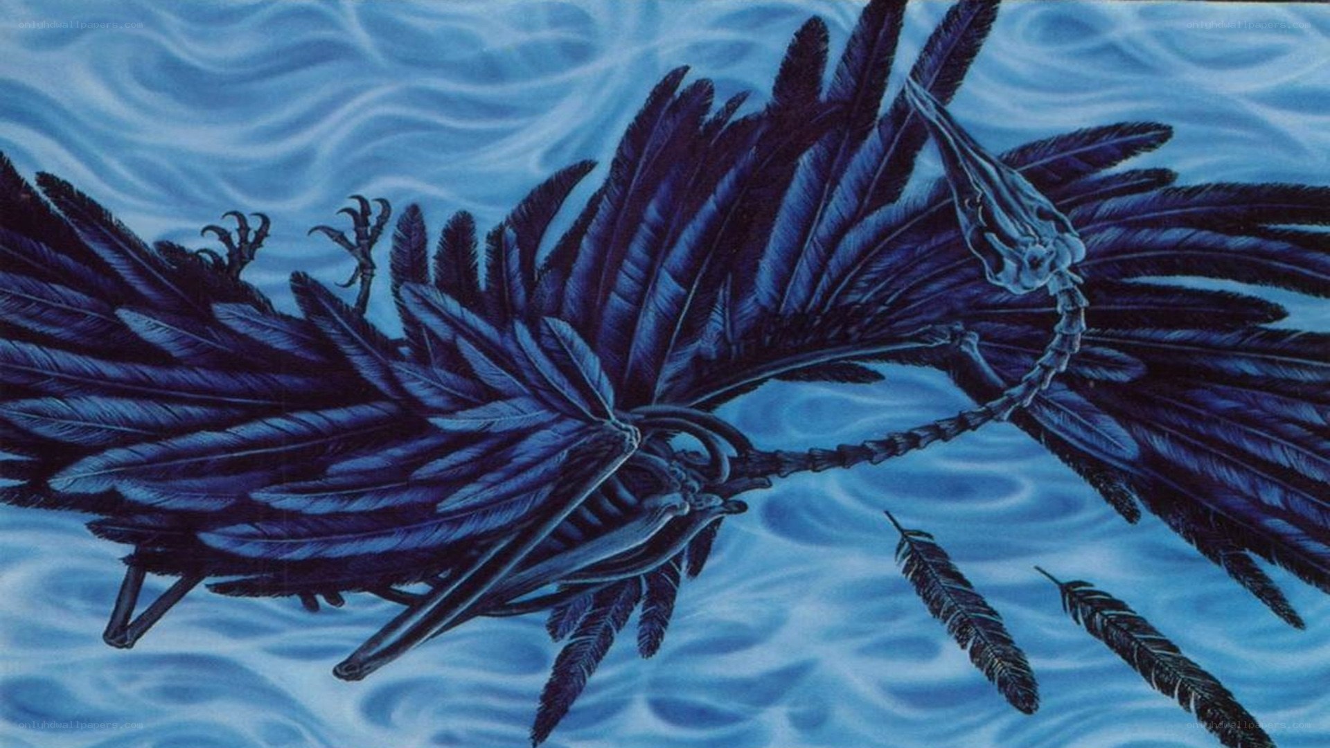 prehistoric bird in water