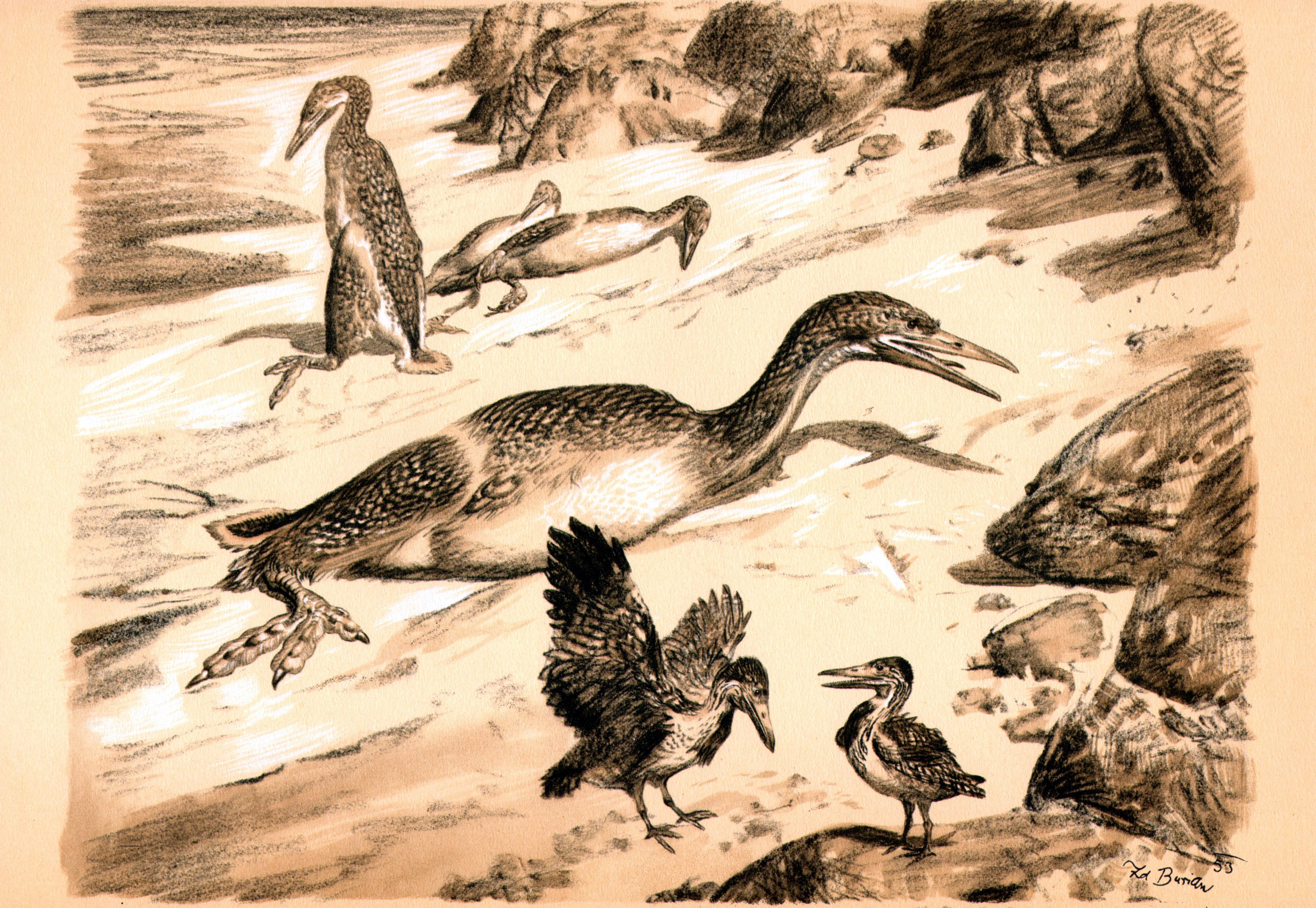 Prehistoric birds on a beach