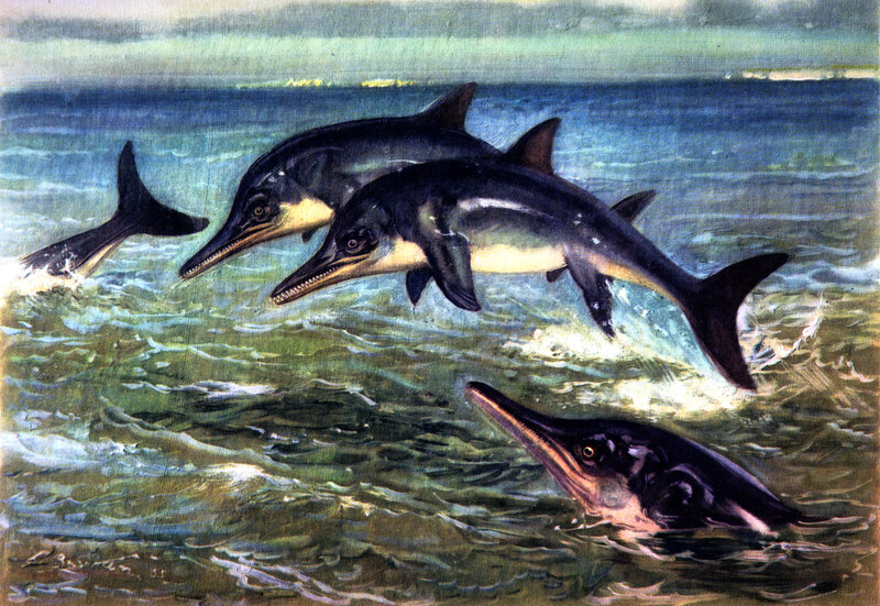 prehistoric dolphins in ocean