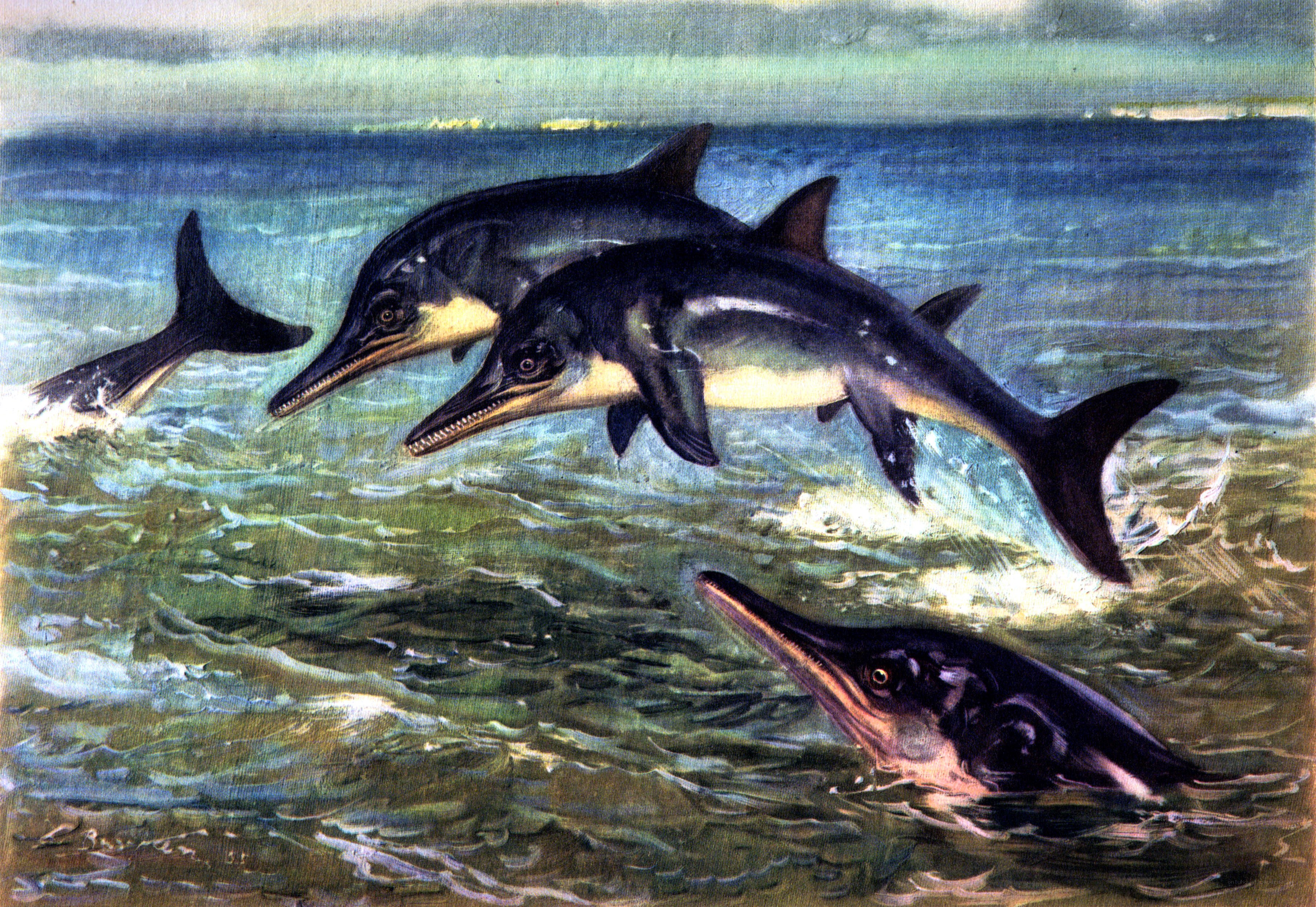 prehistoric dolphins in ocean