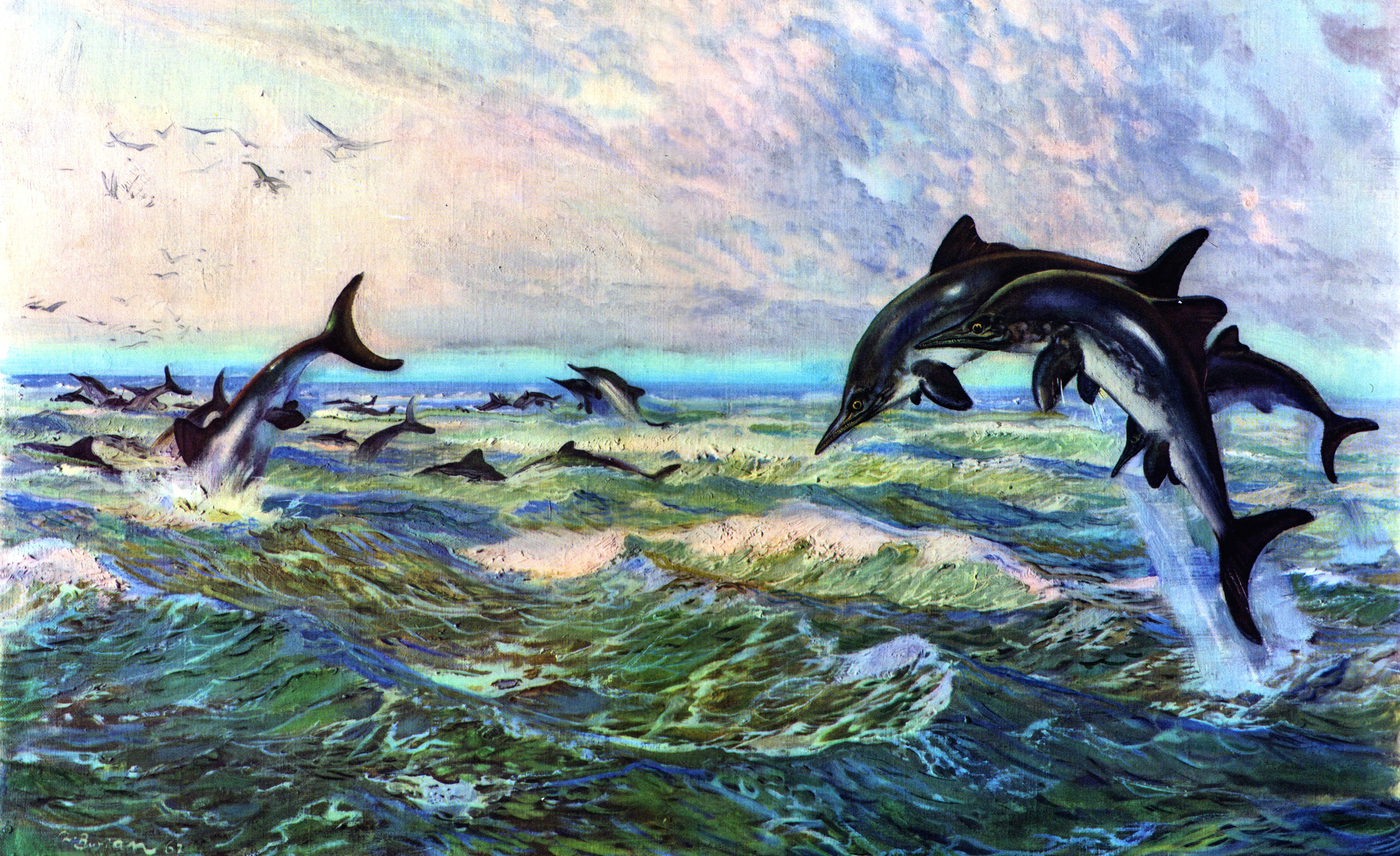 Prehistoric dolphins in the ocean
