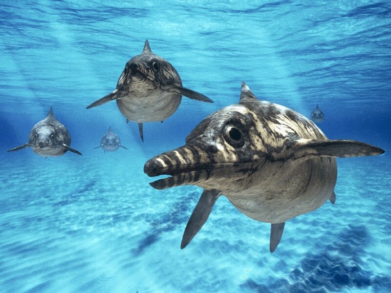 prehistoric dolphins swimming