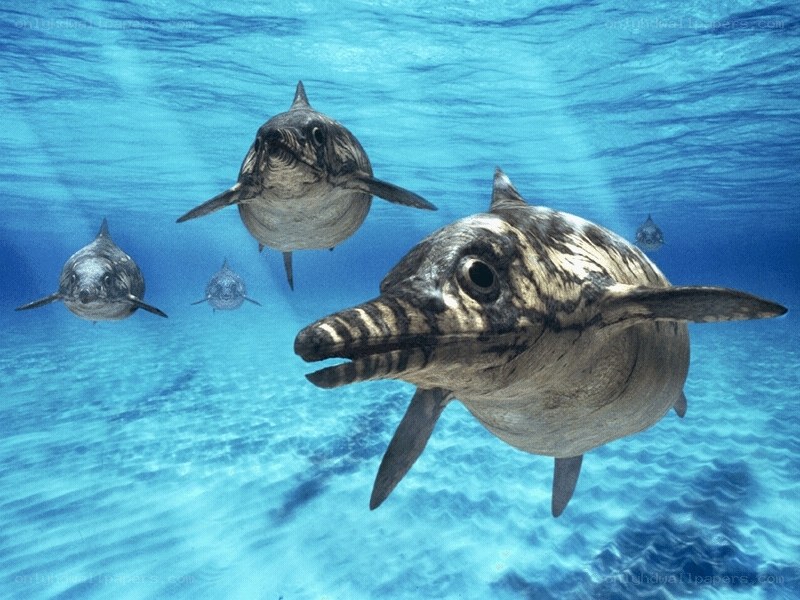 prehistoric dolphins swimming