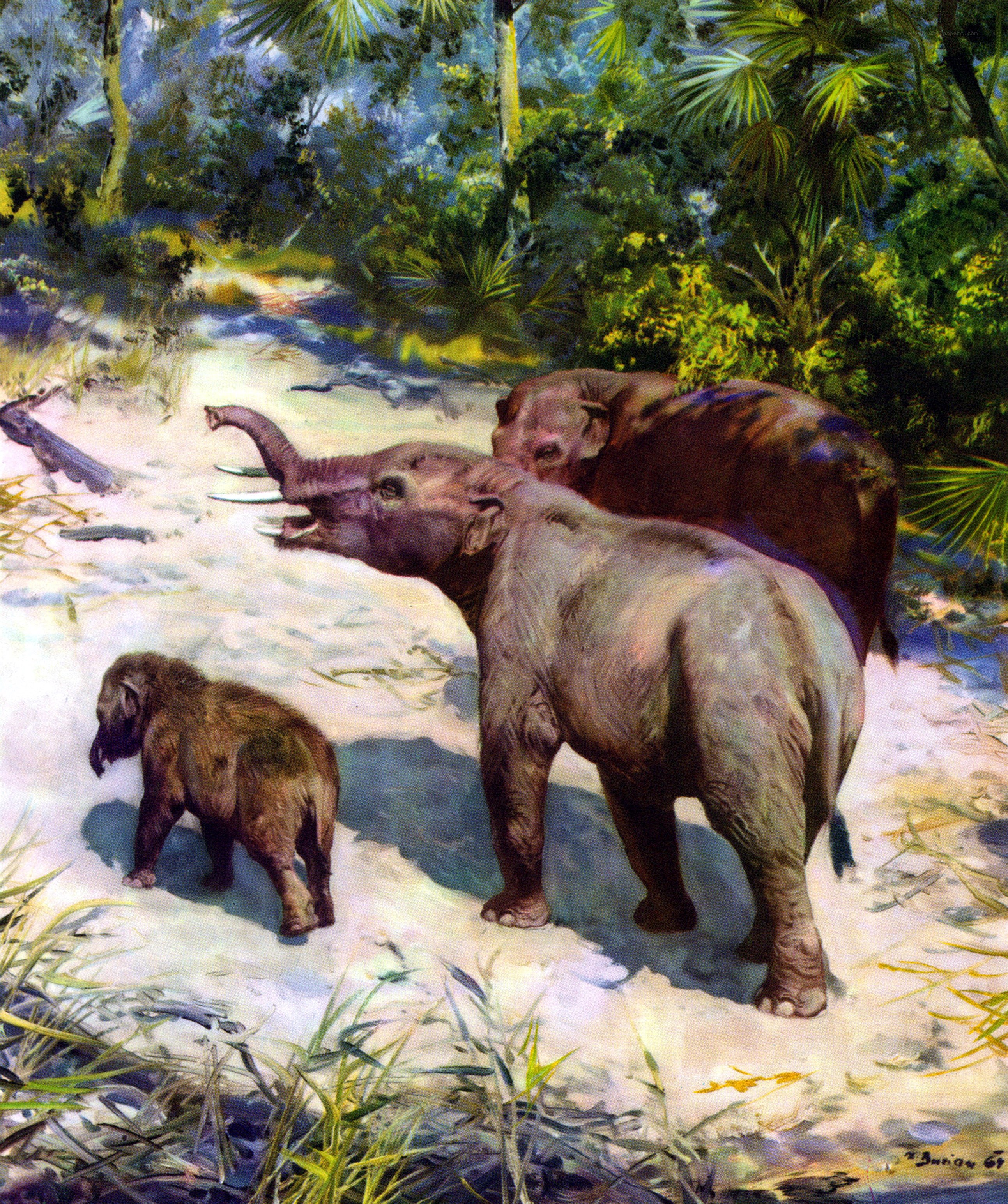 Prehistoric elephant family