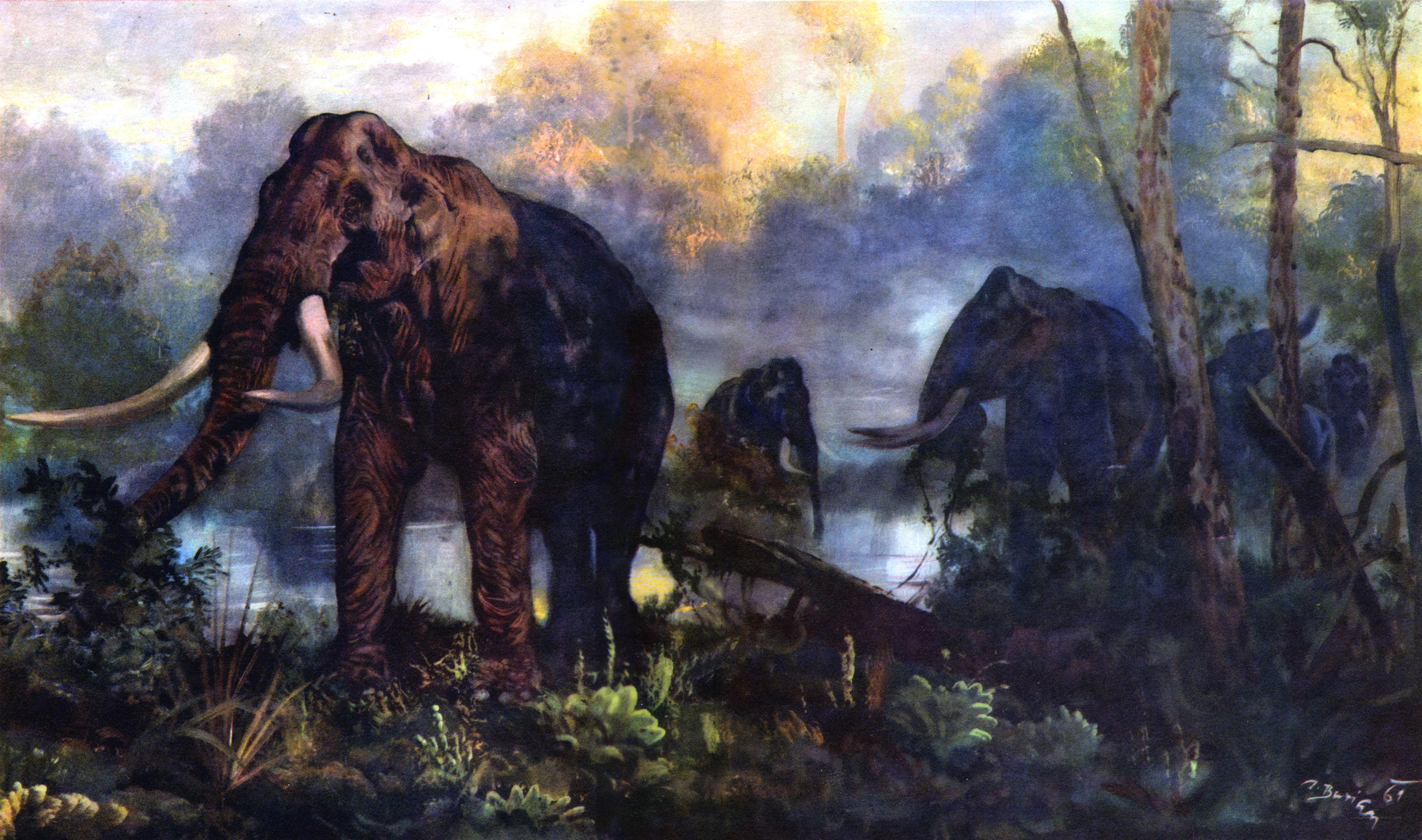 Prehistoric elephants in forest