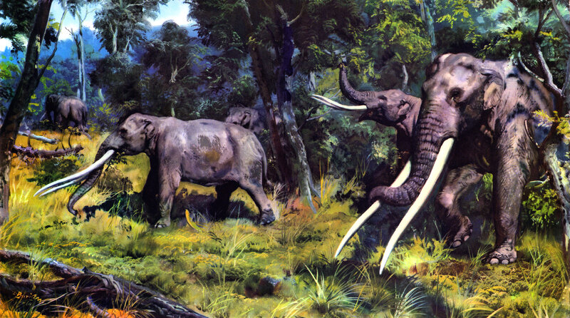 Prehistoric elephants in forest
