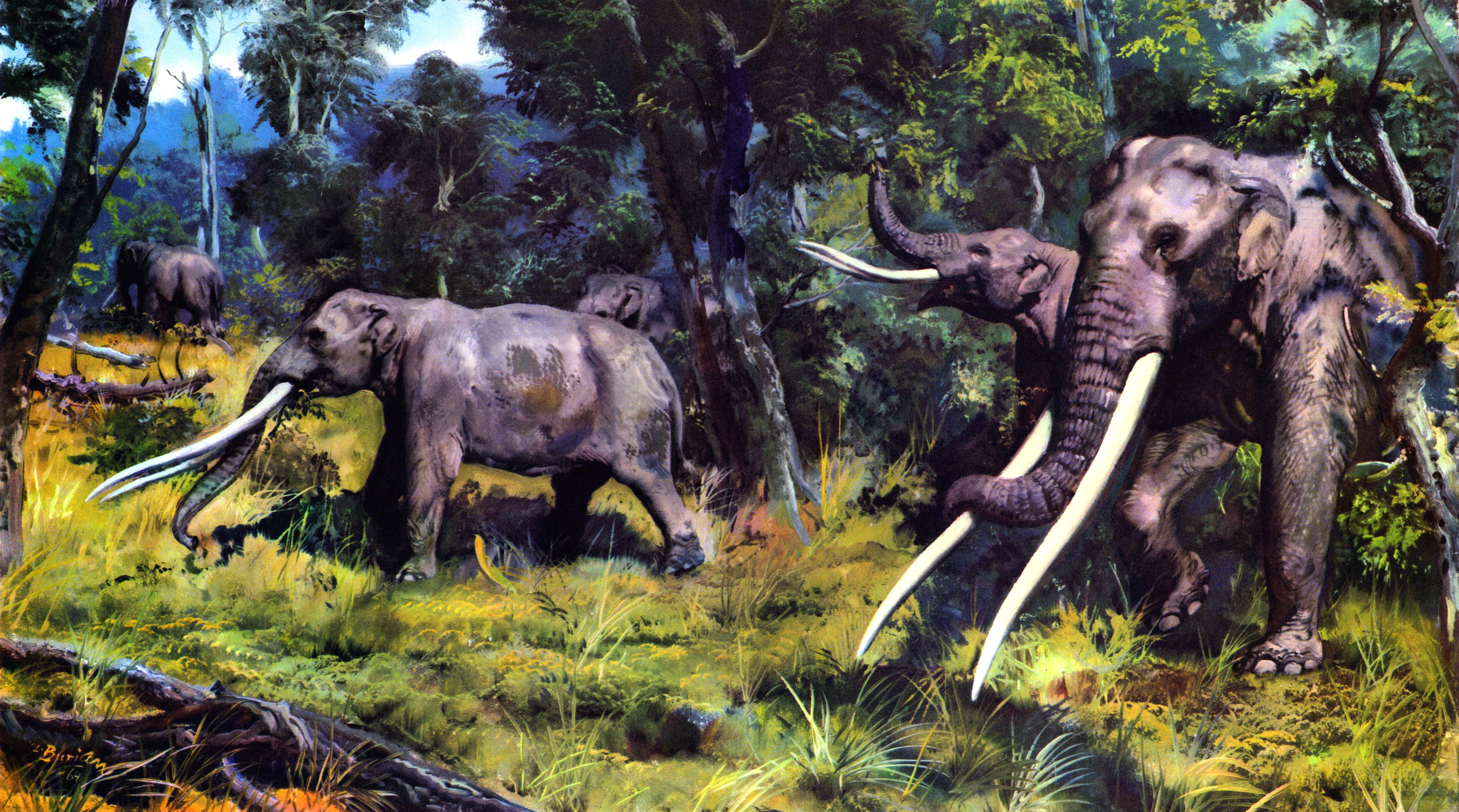 Prehistoric elephants in forest