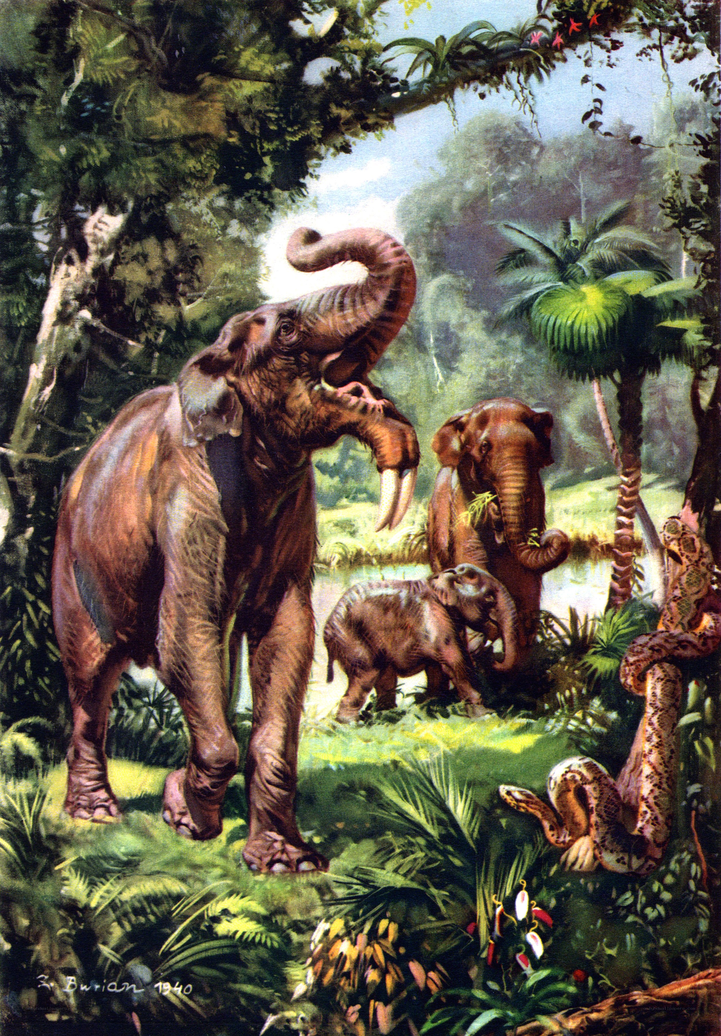 Prehistoric elephants in jungle
