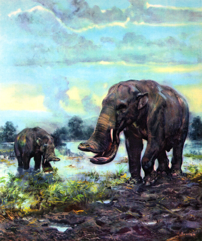 Prehistoric elephants in wetland