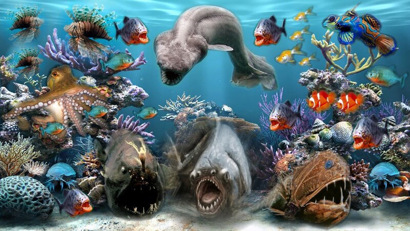 Prehistoric Fish in Coral Reef