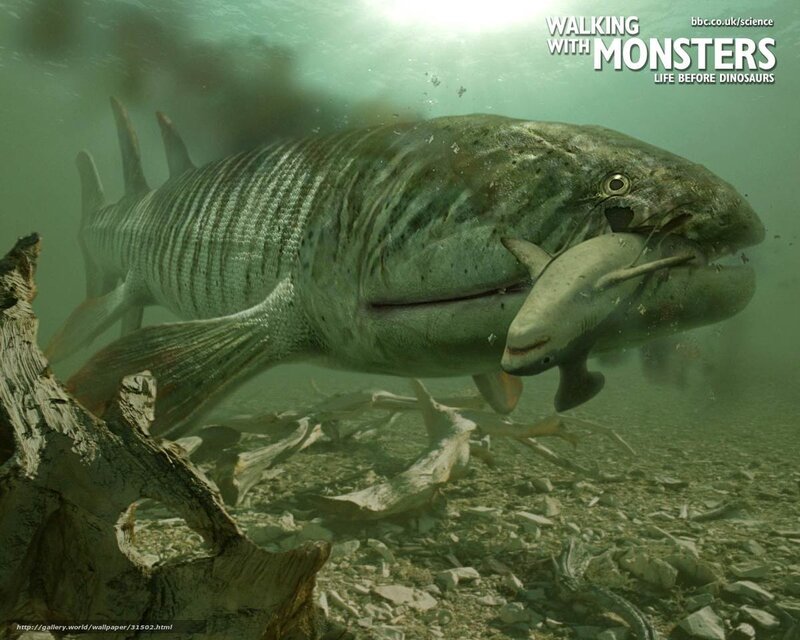 Prehistoric fish predator