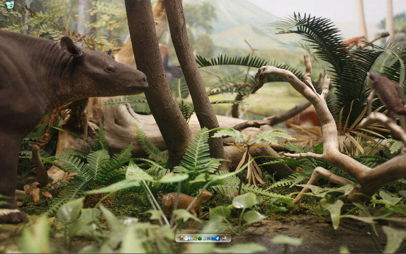 prehistoric forest diorama