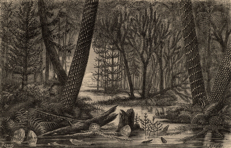 Prehistoric Forest Scene