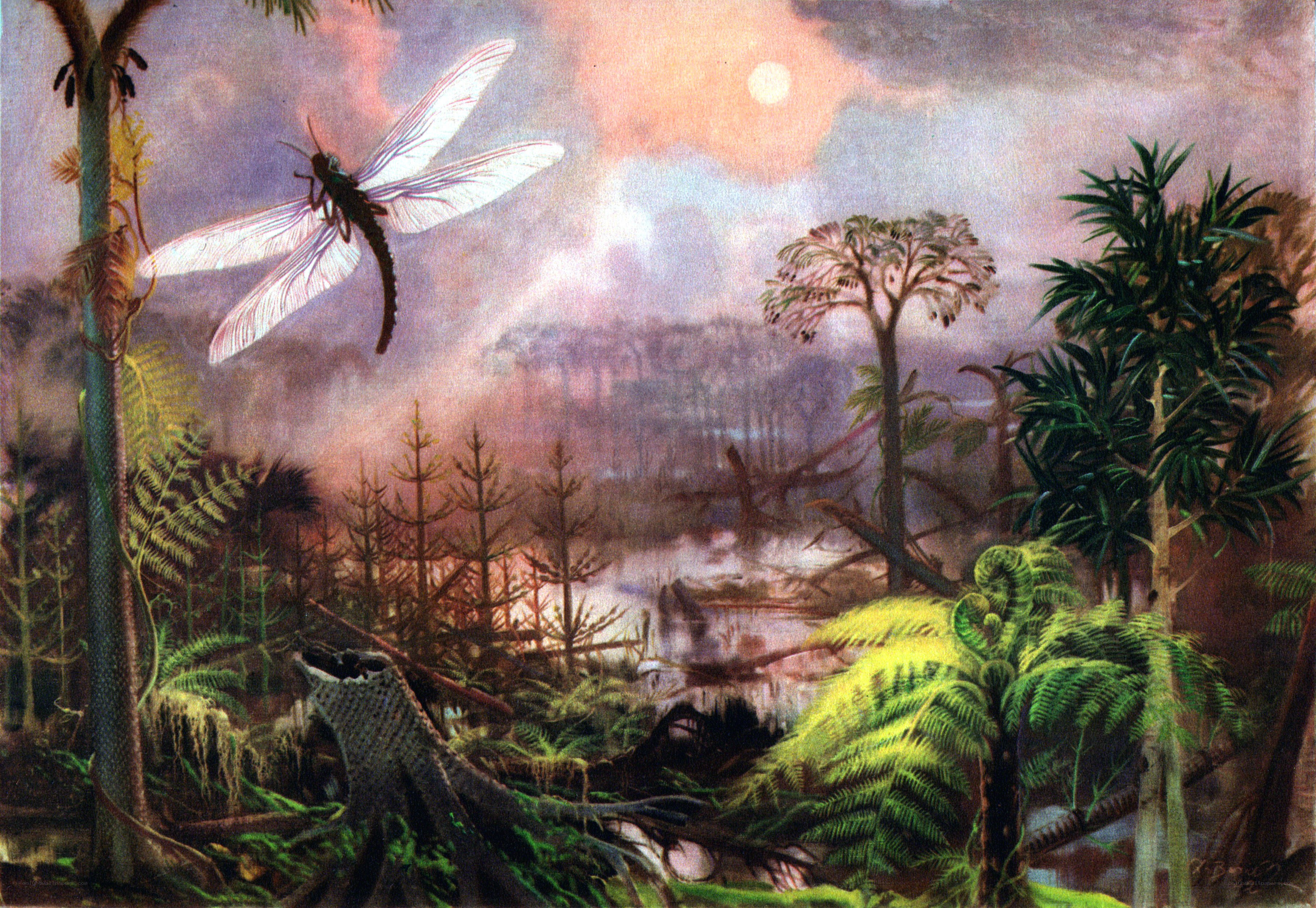 Prehistoric forest with giant dragonfly
