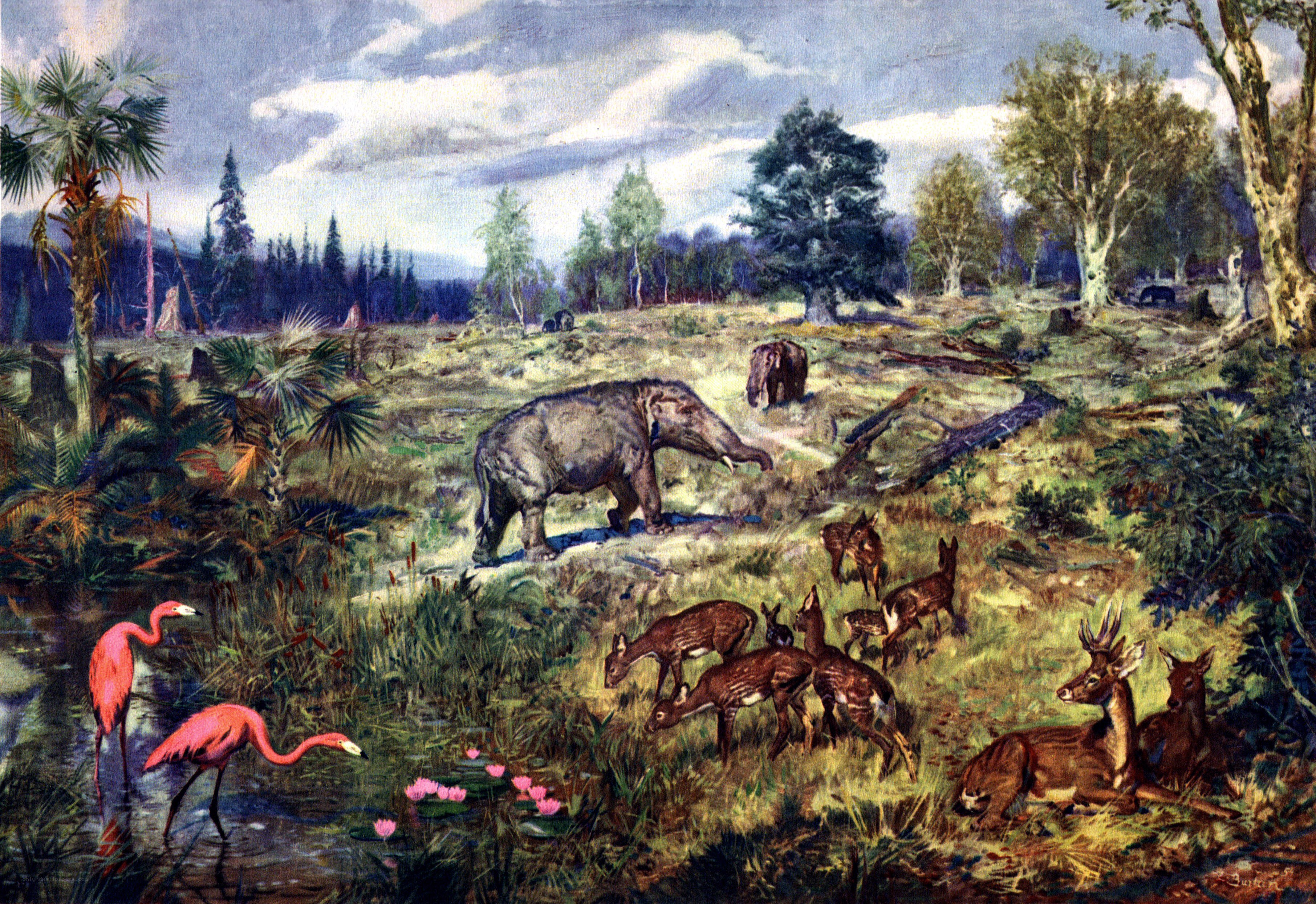 Prehistoric landscape with animals