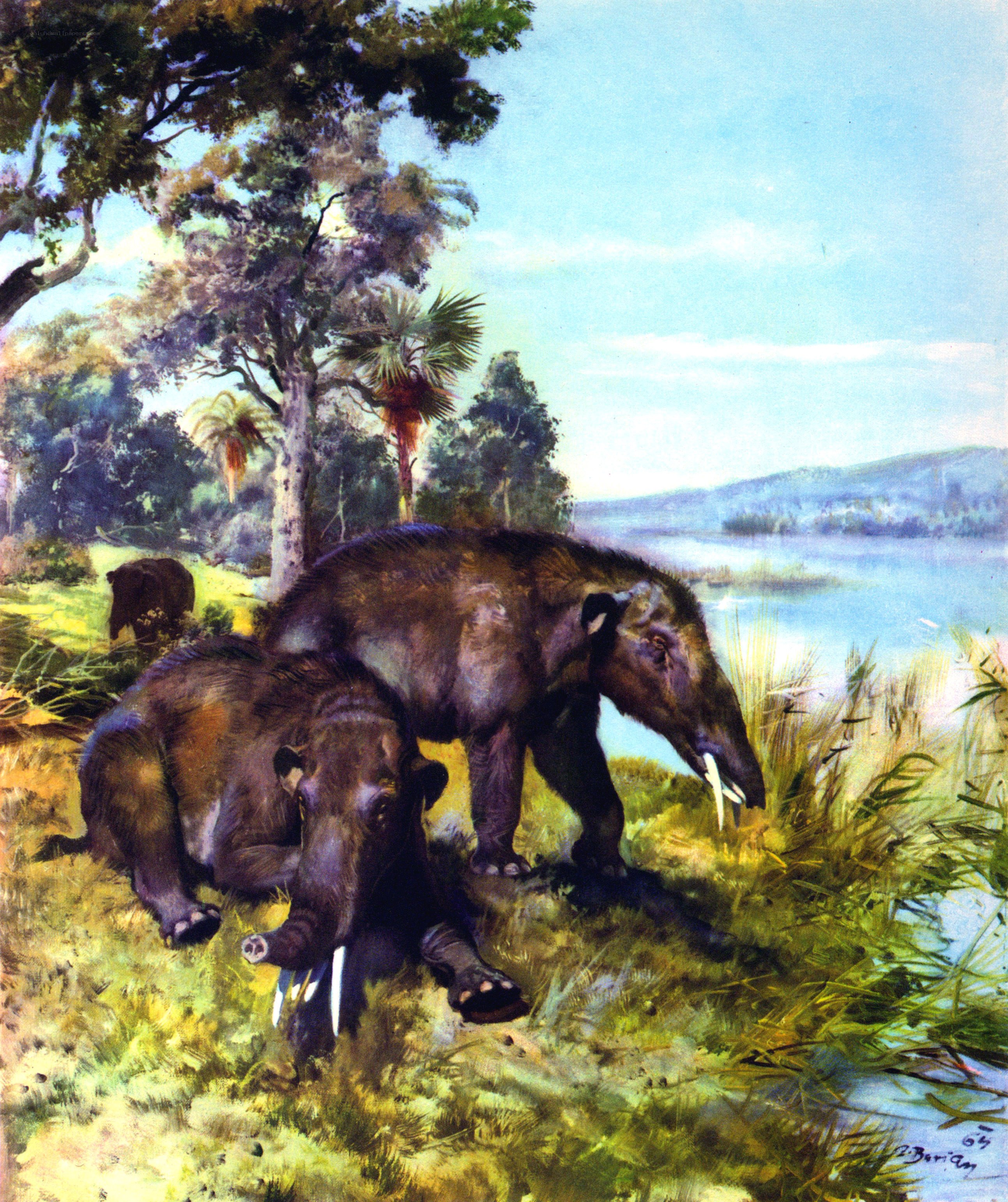 Prehistoric mammals by water