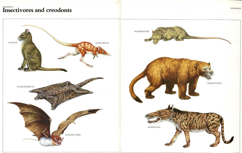 Prehistoric mammals illustrated