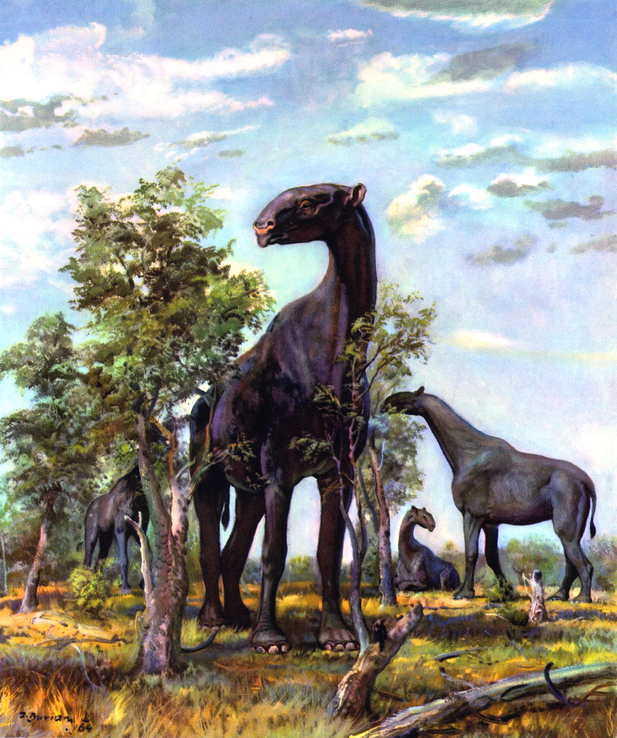 Prehistoric mammals in a forest