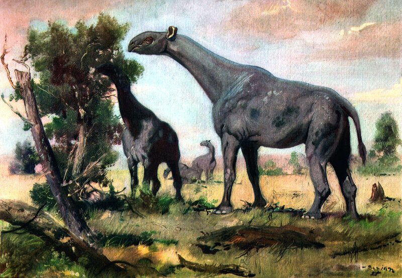 Prehistoric mammals in a natural setting
