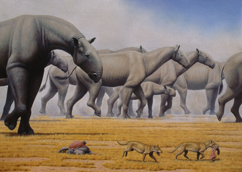 Prehistoric Mammals
