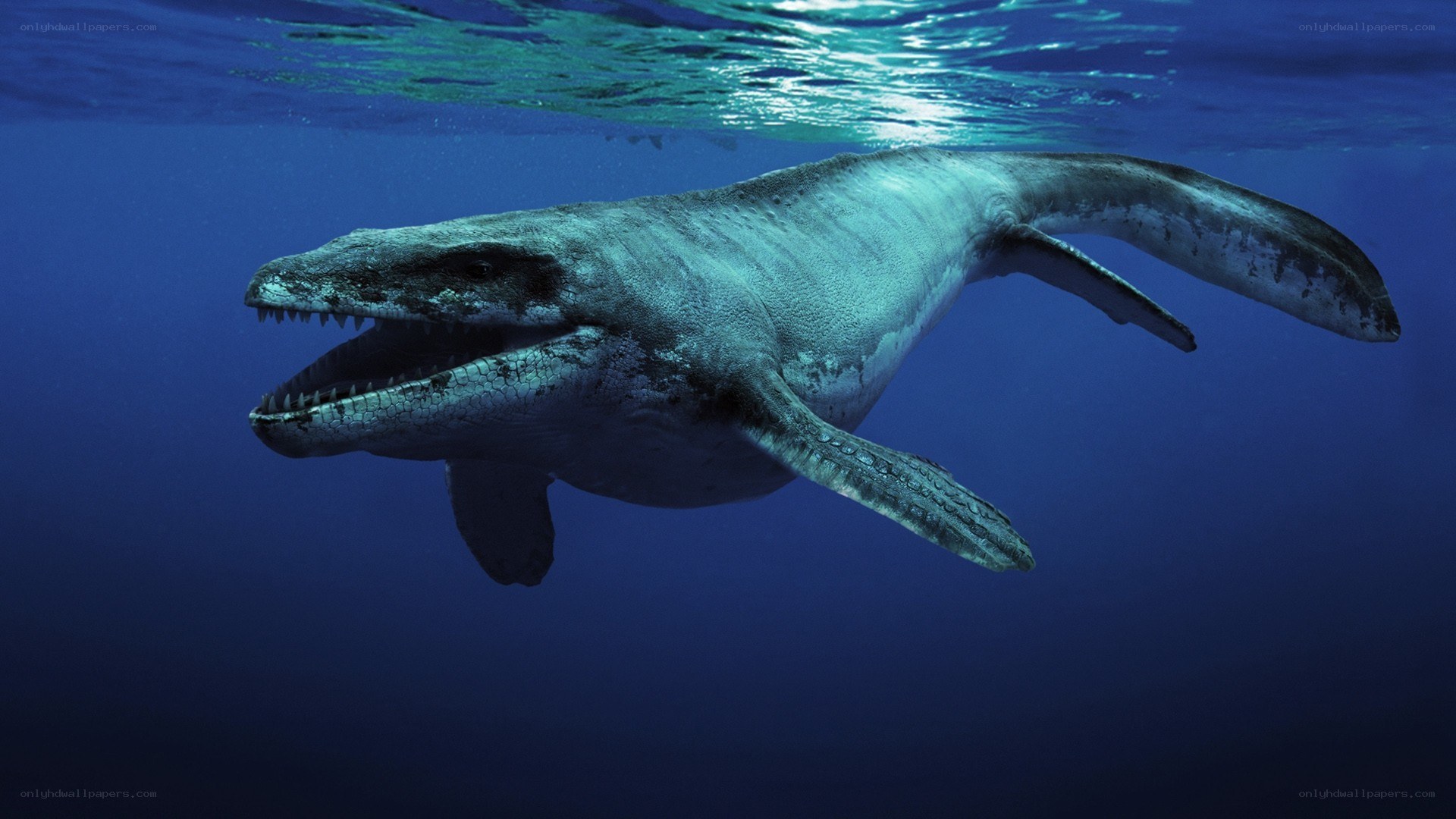 prehistoric marine reptile