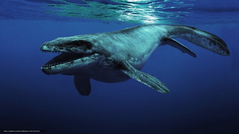Prehistoric Marine Reptile — Blue, Dramatic