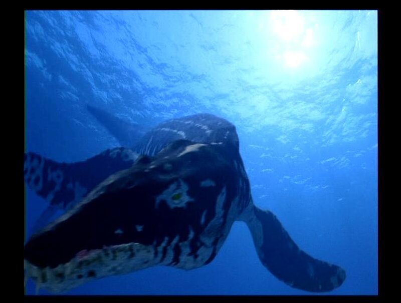Prehistoric Marine Reptile — Blue, Serene, 3d Render